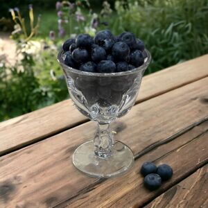 6 CANTERBURY Heavy Pressed Liquor Cocktail Desert Glasses by Duncan Miller 40's